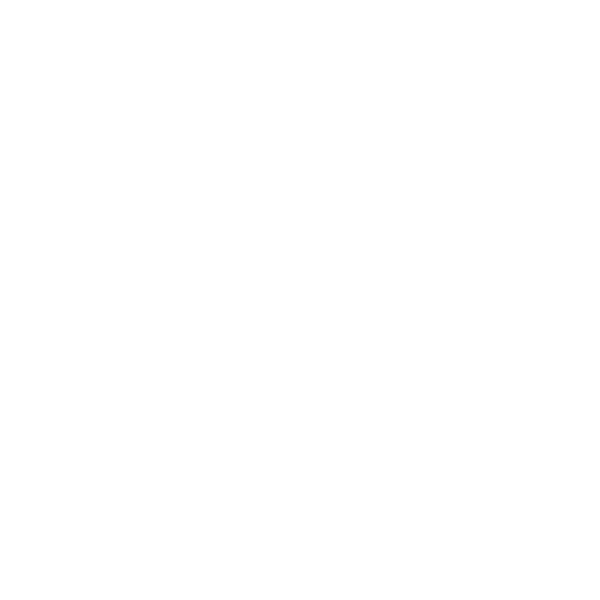 Blue Earth Capital