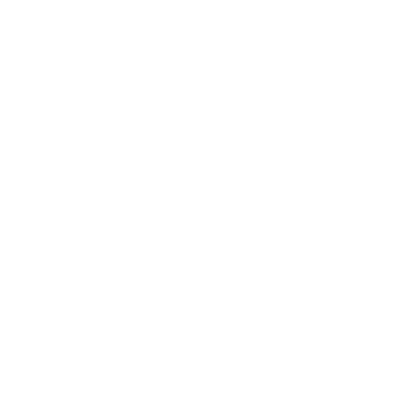 J.P. Morgan